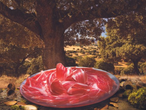 JAMON DE CEBO DE CAMPO 75% RAZA IBERICA